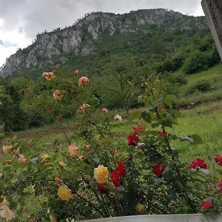 Casa Visescu Hotell Băile Herculane Eksteriør bilde